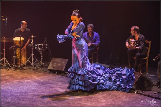 flamenco-vivo-lo-esencial